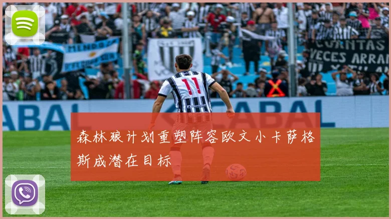 森林狼计划重塑阵容欧文小卡萨格斯成潜在目标