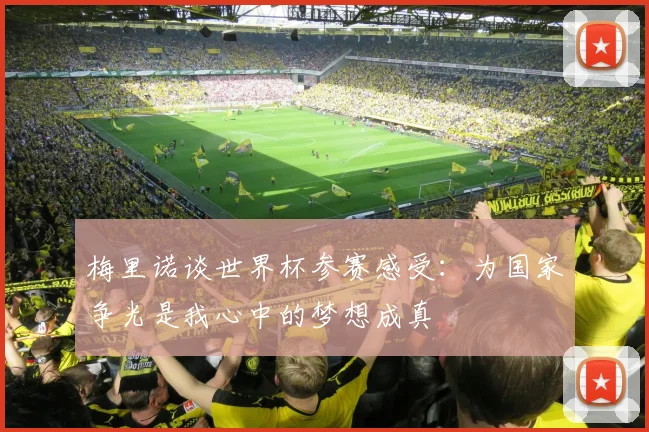 梅里诺谈世界杯参赛感受：为国家争光是我心中的梦想成真
