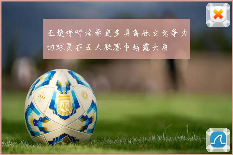 王楚呼吁培养更多具备独立竞争力的球员在五大联赛中崭露头角